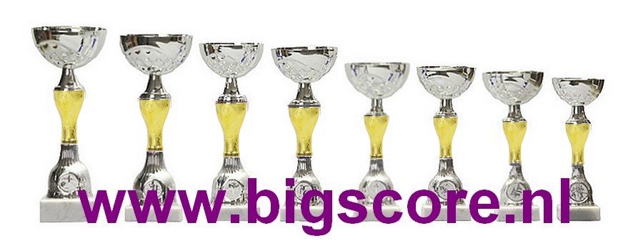 Z541 Beker Goud-Zilver